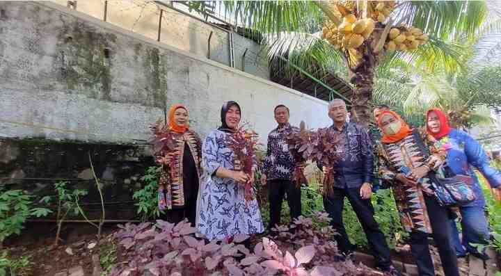 Walikota Jaksel Panen Sayur di lokasi Penataan Kelurahan Pulo Walikota Jaksel Panen Sayur di lokasi Penataan Kelurahan Pulo