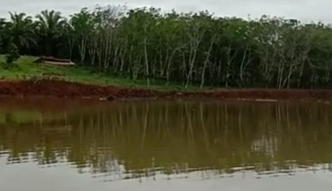 Even Akbar Lomba Memancing Ikan Mas dan Ikan Patin Serta Promosi Wisata CEKDAM Even Akbar Lomba Memancing Ikan Mas dan Ikan Patin Serta Promosi Wisata CEKDAM