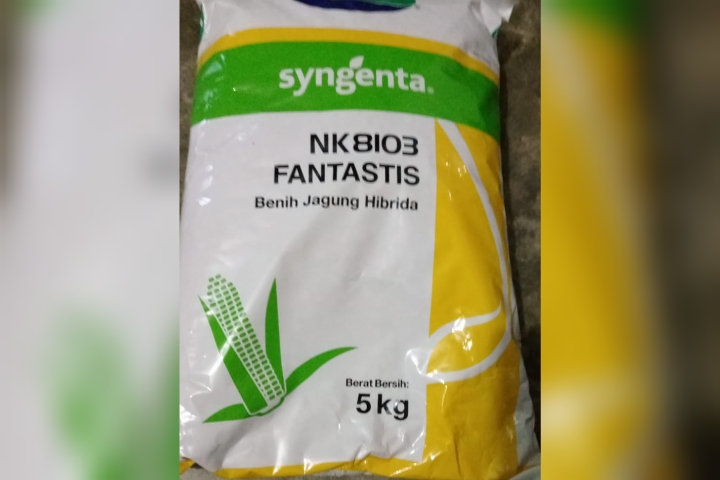 Inspektorat Segera Audit Terkait Dugaan Mark Up Bibit Jagung Desa Rih Tenggah Inspektorat Segera Audit Terkait Dugaan Mark Up Bibit Jagung Desa Rih Tenggah