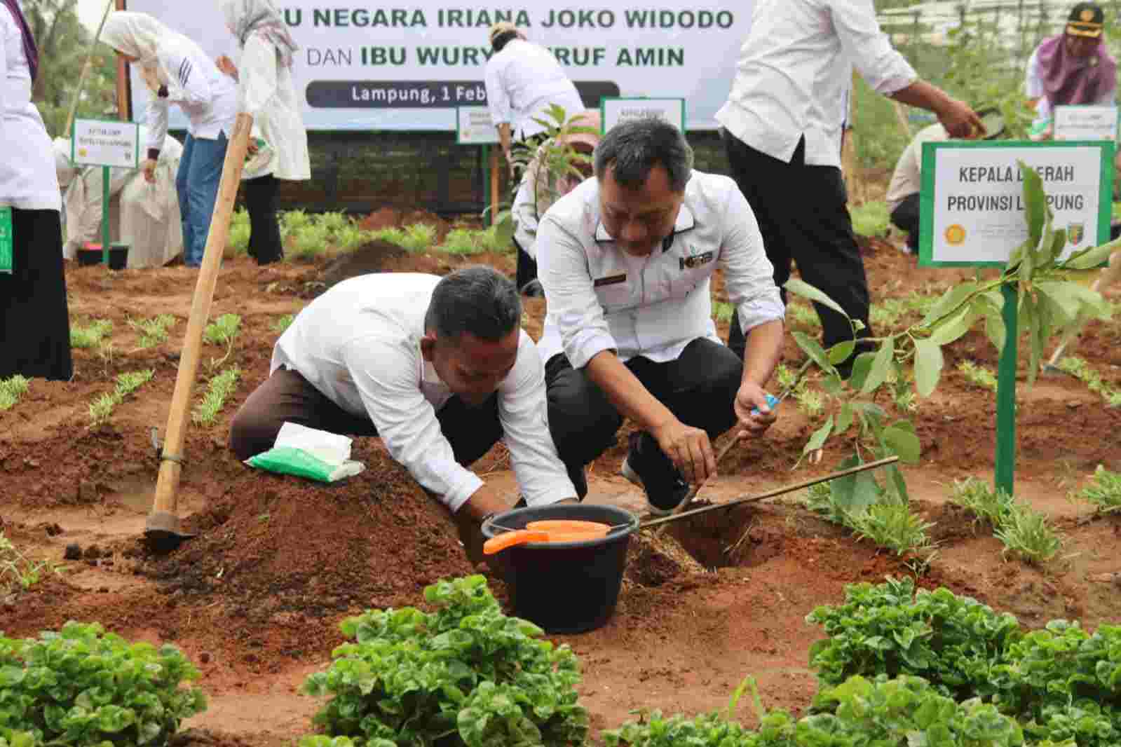 Pemprov Lampung Ikuti Penanaman 1000 Pohon Buah Secara Serentak Pemprov Lampung Ikuti Penanaman 1000 Pohon Buah Secara Serentak