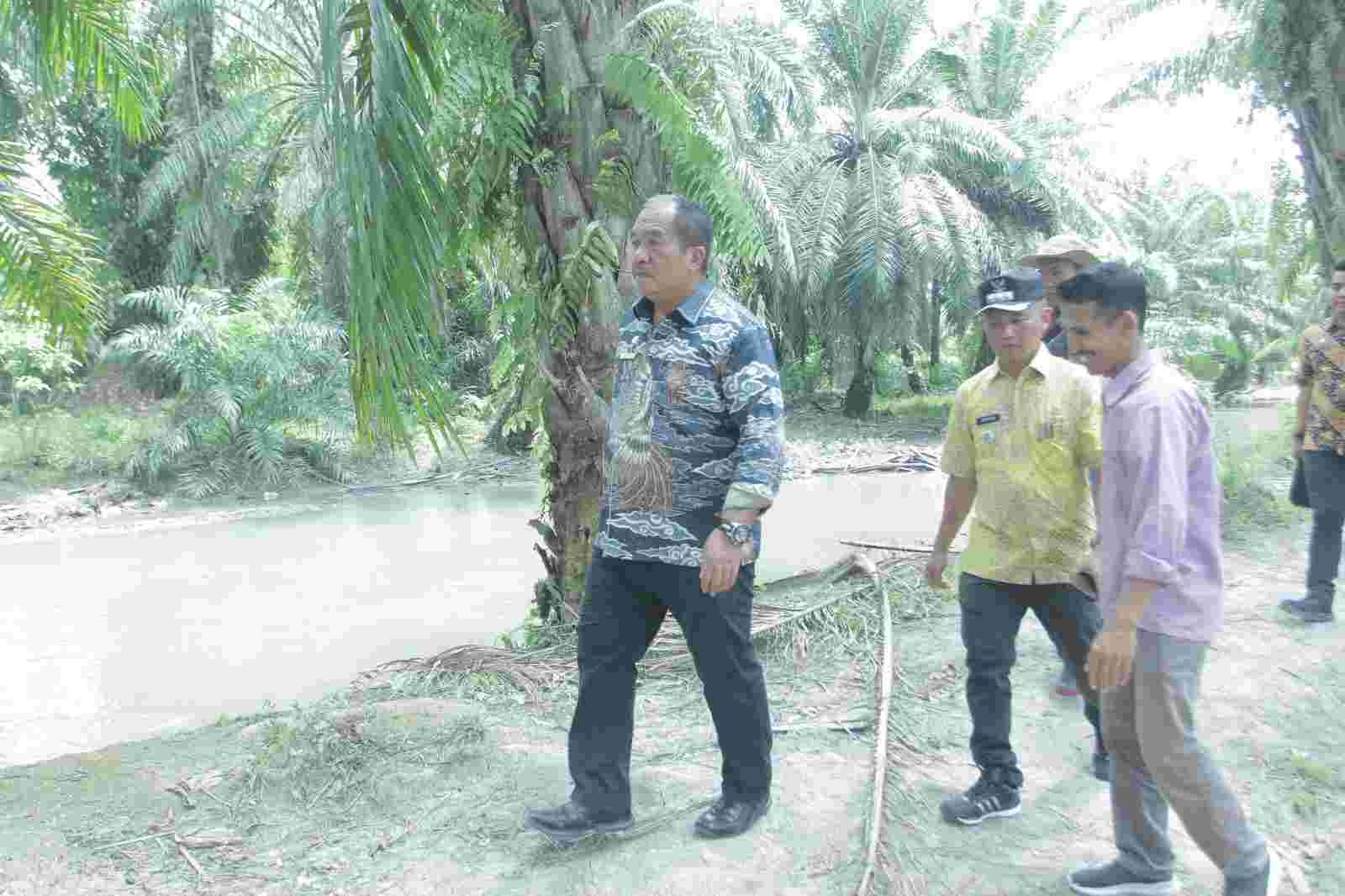 Wabup: Normalisasi Sungai Liga Asahan Akan Terlaksana Jika Masyarakat Tidak Minta Ganti Rugi Wabup: Normalisasi Sungai Liga Asahan Akan Terlaksana Jika Masyarakat Tidak Minta Ganti Rugi