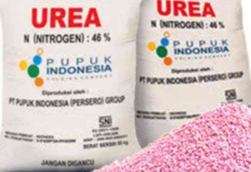 Dana Yang Telah Ditransfer Dikembalikan Distrubutor, Pemilik Kios Pupuk Meradang Dana Yang Telah Ditransfer Dikembalikan Distrubutor, Pemilik Kios Pupuk Meradang