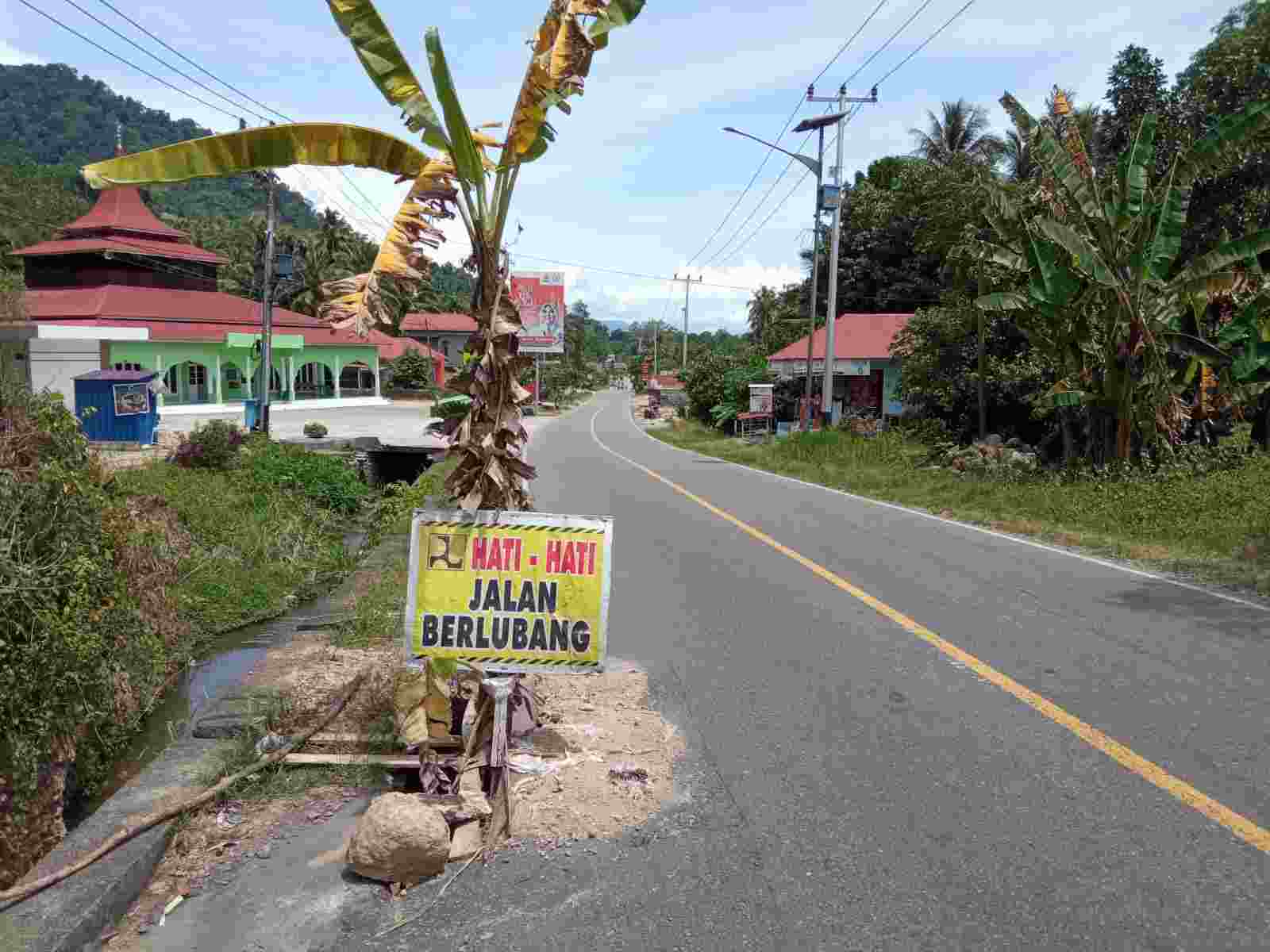Akibat Jalan Lintas Medan – Padang Rusak, Warga Protes Tanam Pisang Akibat Jalan Lintas Medan – Padang Rusak, Warga Protes Tanam Pisang