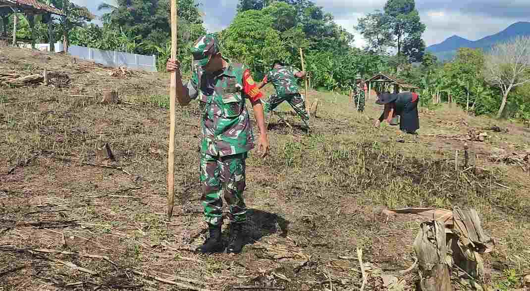 Tingkatkan Ketahanan Pangan Satuan Jajaran Kodim 0410/KBL Kembali Bertani Jagung Tingkatkan Ketahanan Pangan Satuan Jajaran Kodim 0410/KBL Kembali Bertani Jagung