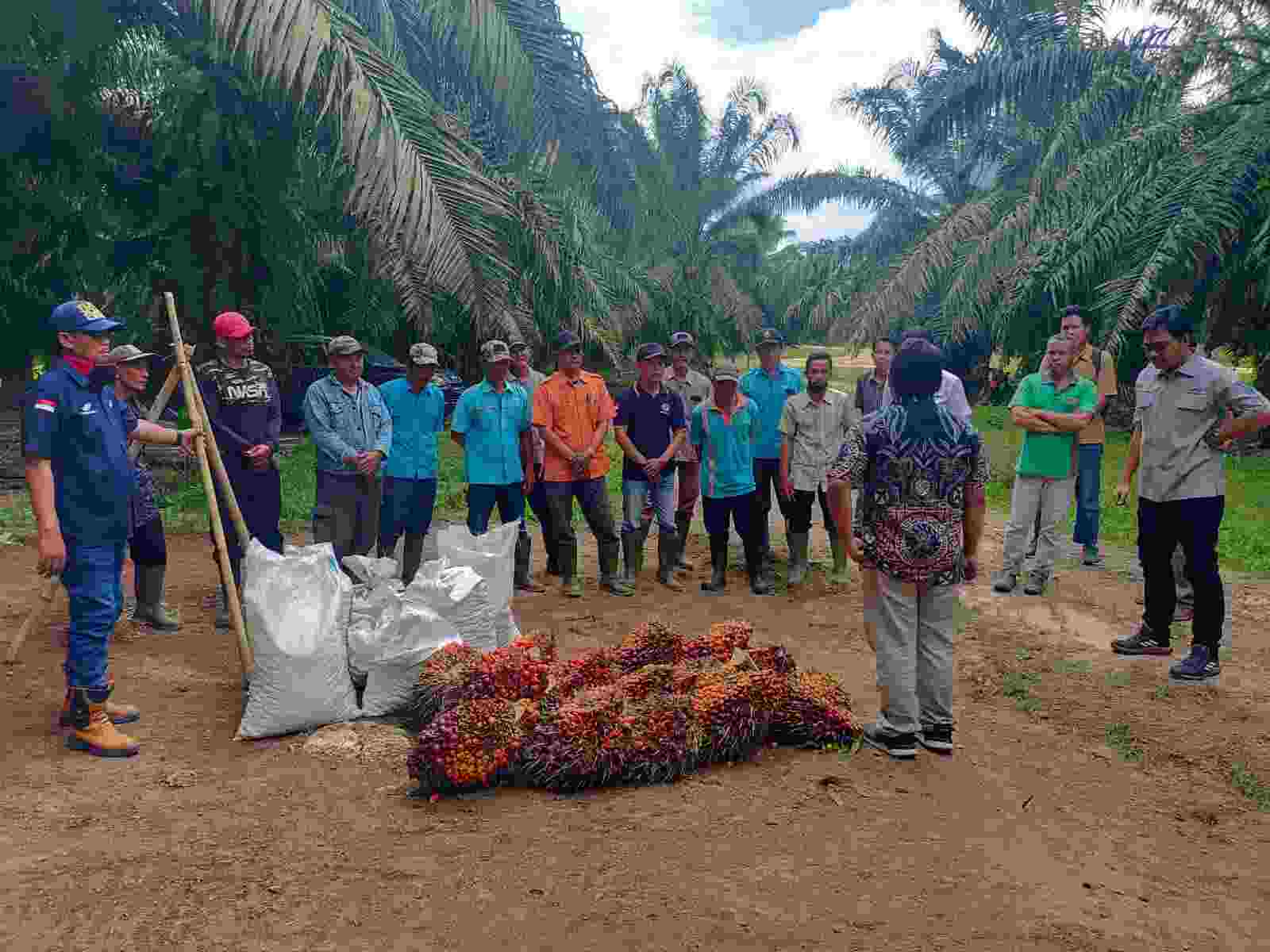 PTPN VII Memasuki Era Digital Farming PTPN VII Memasuki Era Digital Farming