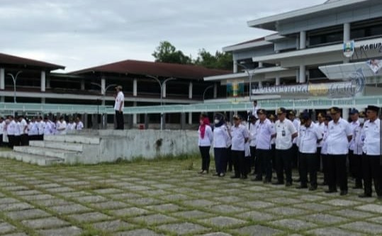 Tingkatkan Ekonomi Masyarakat, Agus Istiqlal: Di Pekon Way Sindi akan Dibangun Pabrik Triplek Tingkatkan Ekonomi Masyarakat, Agus Istiqlal: Di Pekon Way Sindi akan Dibangun Pabrik Triplek