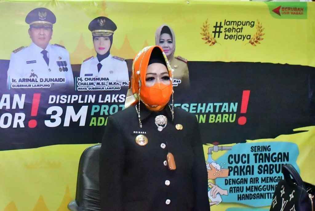 Mengapa Pemprov Mempertahankan Hj Reihana, Ini Penjelasan Sekprov Fahrizal Darminto Mengapa Pemprov Mempertahankan Hj Reihana, Ini Penjelasan Sekprov Fahrizal Darminto