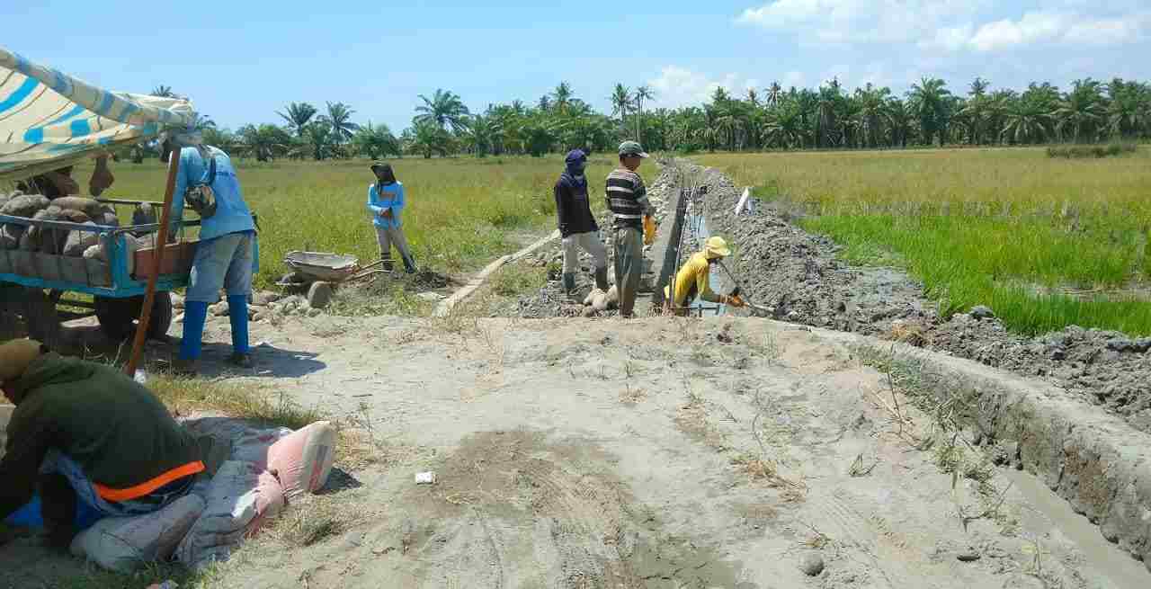 Petani Bogak Besar Ucapkan Terimakasih Saluran Irigasi Persawahan Dibangun Petani Bogak Besar Ucapkan Terimakasih Saluran Irigasi Persawahan Dibangun