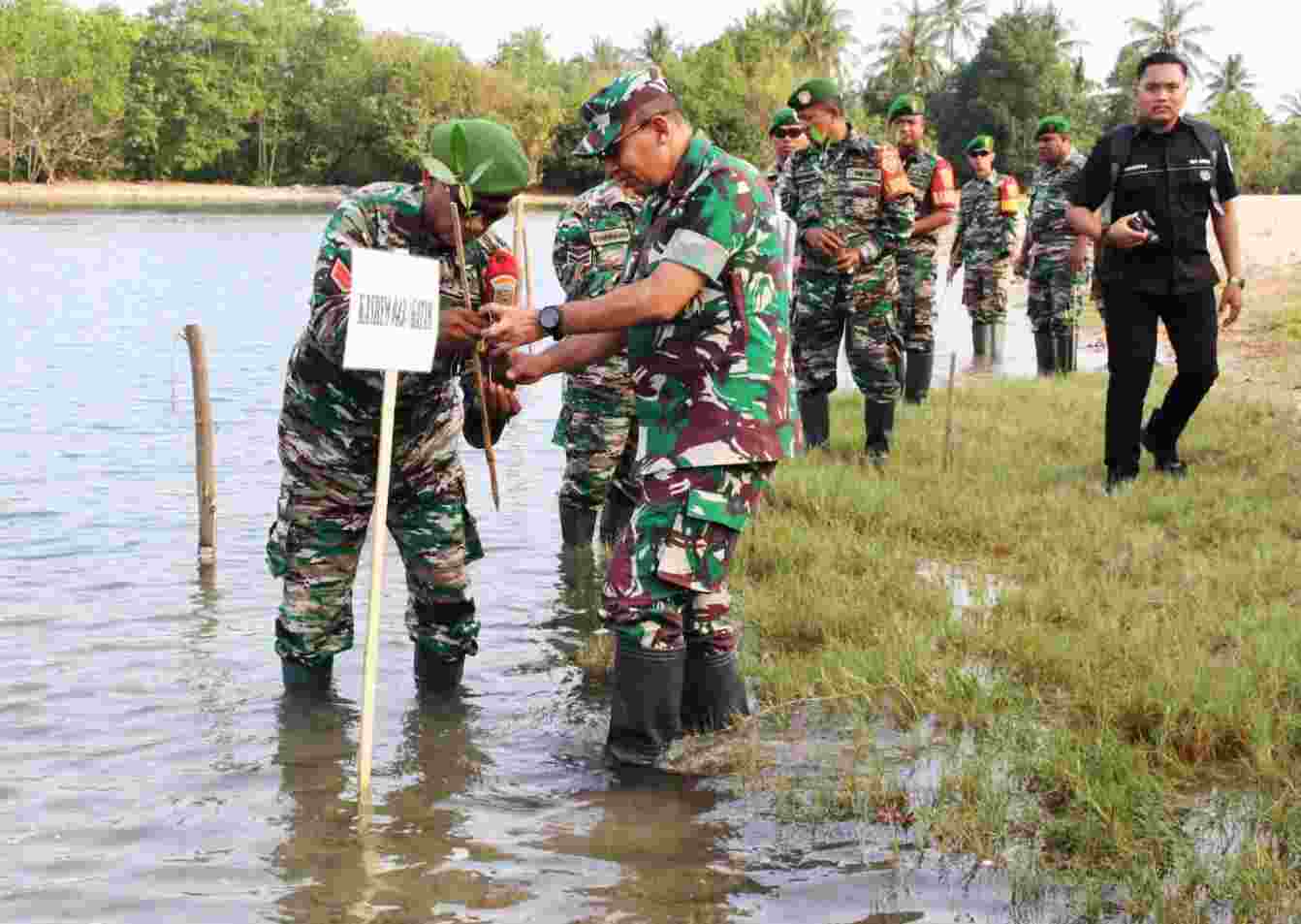 Korem Bersama Forkopimda Lampung Bersinergi Tanam 8000 Batang Mangrove Korem Bersama Forkopimda Lampung Bersinergi Tanam 8000 Batang Mangrove