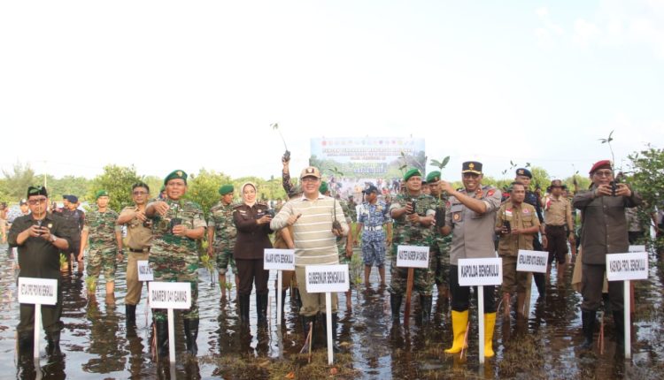 Jaga Ekosistem Biota Laut & Abrasi, Gubernur Rohidin Bersama TNI/Polri Tanam Mangrove Jaga Ekosistem Biota Laut & Abrasi, Gubernur Rohidin Bersama TNI/Polri Tanam Mangrove