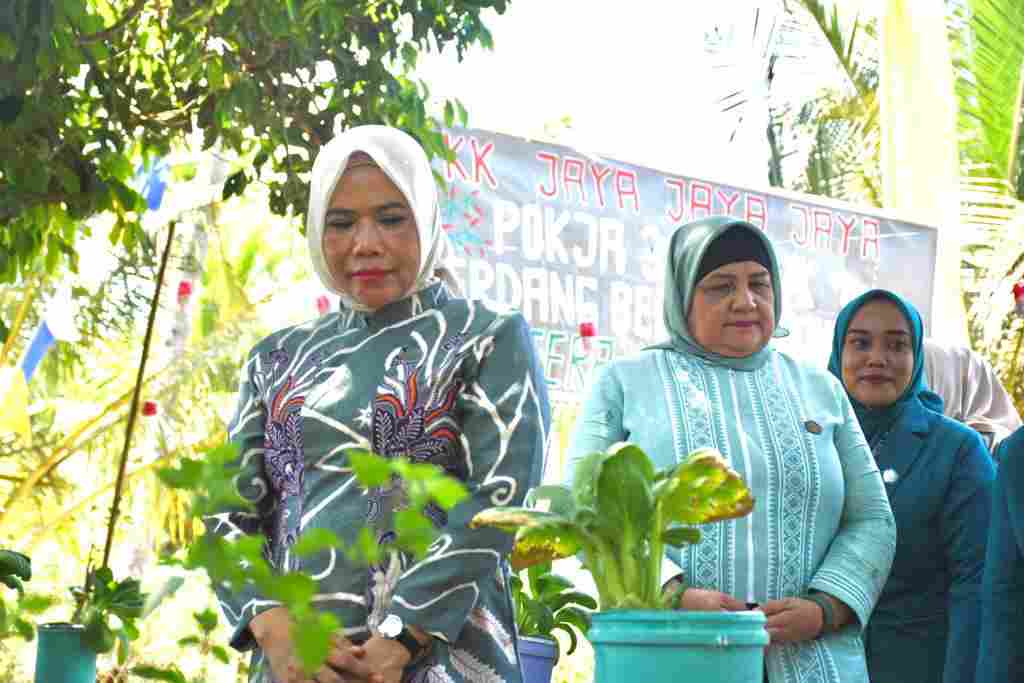 TP-PKK Sergai Perkuat Peran Strategis dalam Peningkatan Kesejahteraan Keluarga TP-PKK Sergai Perkuat Peran Strategis dalam Peningkatan Kesejahteraan Keluarga