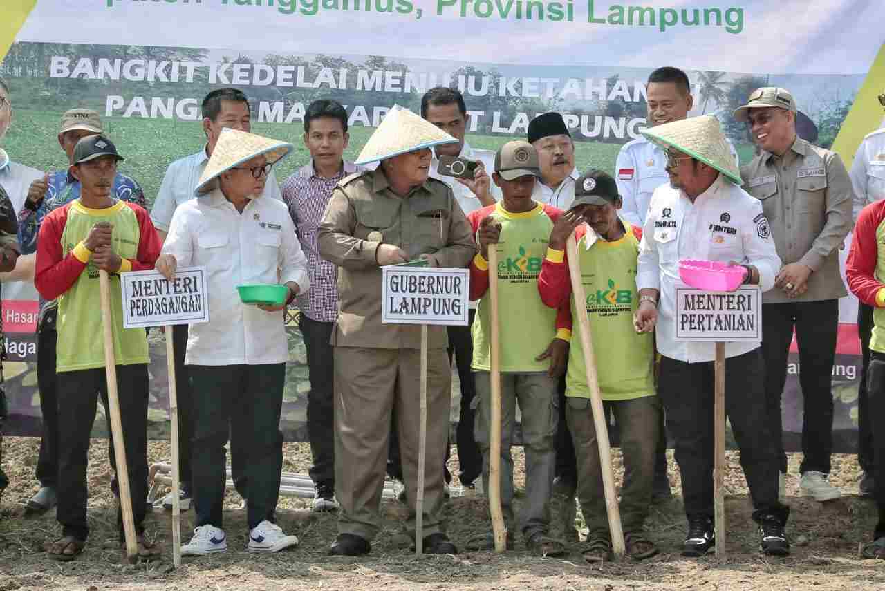 Gubernur Arinal Bersama Mentan dan Mendag Lakukan Gerakan Tanam Kedelai di Tanggamus Gubernur Arinal Bersama Mentan dan Mendag Lakukan Gerakan Tanam Kedelai di Tanggamus