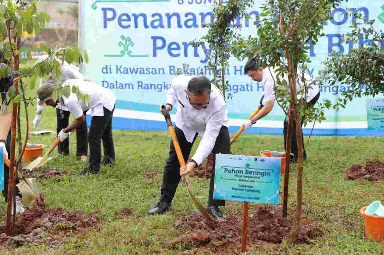 Pemprov Lampung Lakukan Penanaman dan Penyerahan Bibit Pohon di Kawasan Wisata Krakatau Park Pemprov Lampung Lakukan Penanaman dan Penyerahan Bibit Pohon di Kawasan Wisata Krakatau Park