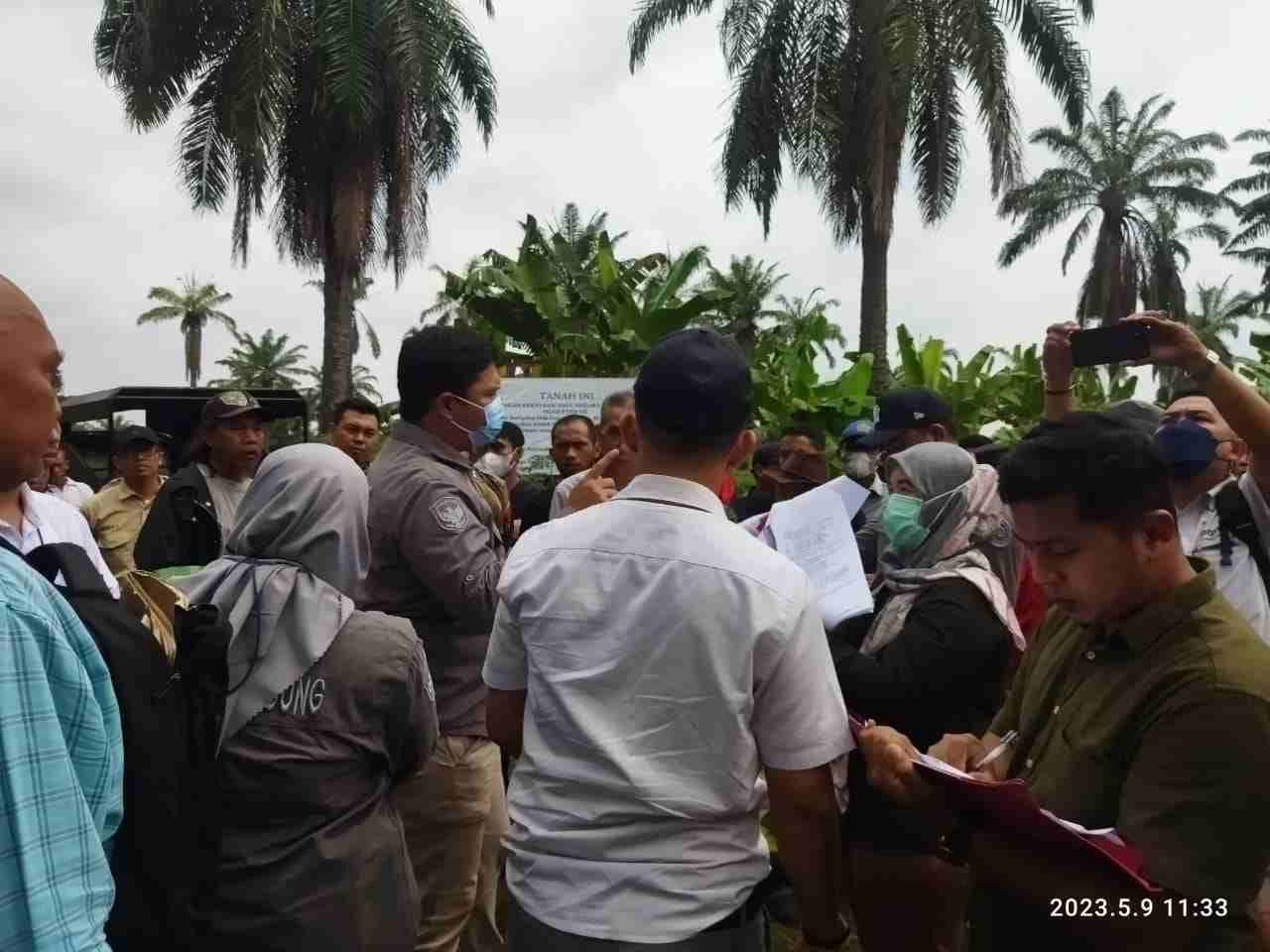 PTPN VII Menangkan Sengkata Lahan Sidosari PTPN VII Menangkan Sengkata Lahan Sidosari