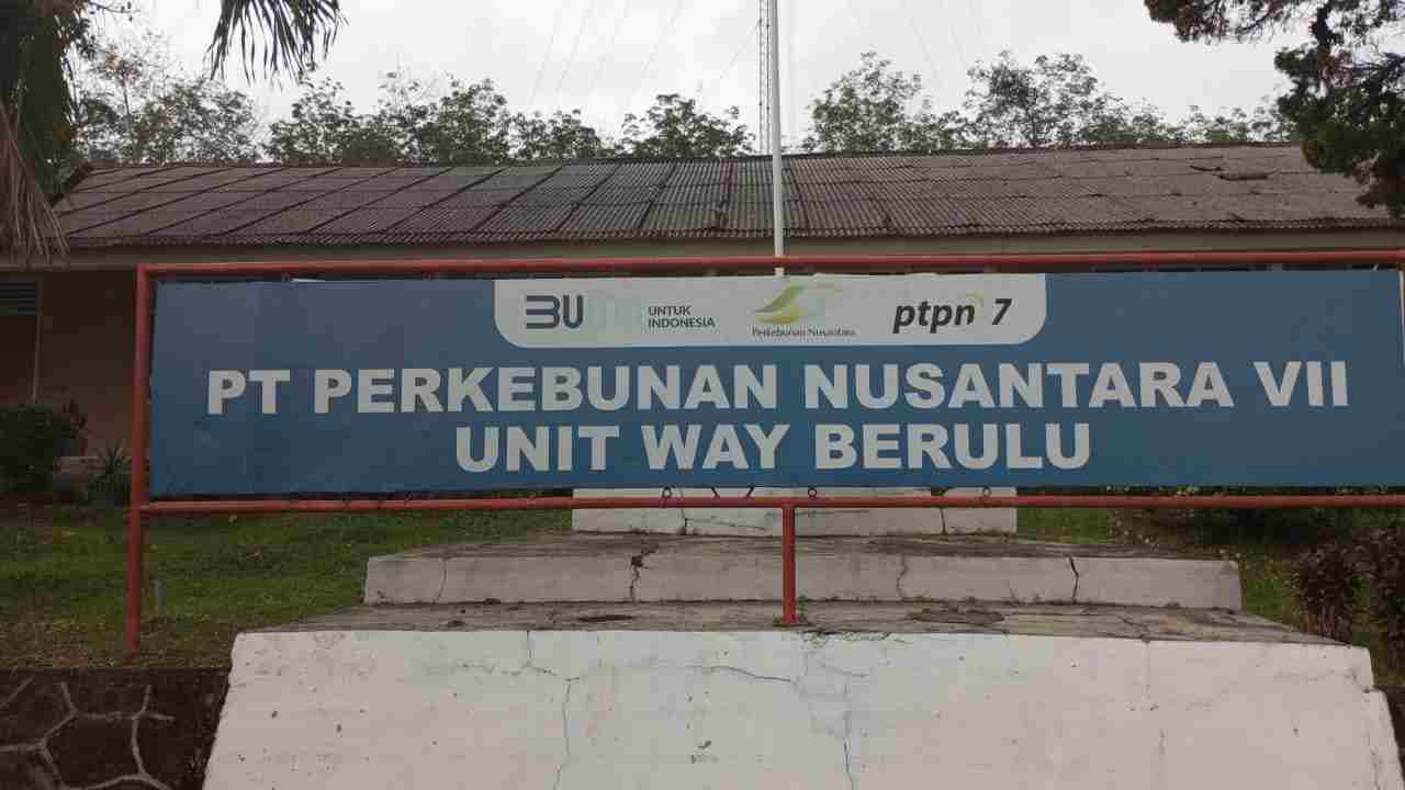 Mengenal Lebih Dalam PT. Perkebunan Nusantara (PTPN) VII Mengenal Lebih Dalam PT. Perkebunan Nusantara (PTPN) VII