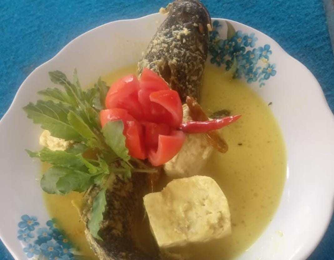 “Bakok” Segar Kaya Manfaat Namun Susah Didapat “Bakok” Segar Kaya Manfaat Namun Susah Didapat