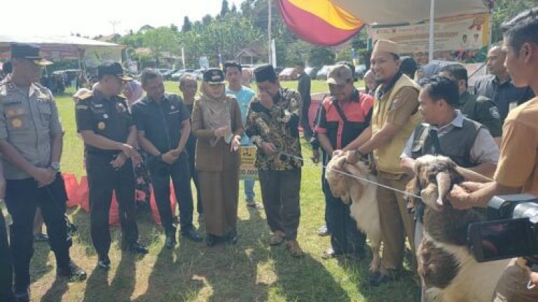 Pemkab Tanggamus Mengadakan Gerakan Pangan Murah dan Bazar Hewan Kurban Pemkab Tanggamus Mengadakan Gerakan Pangan Murah dan Bazar Hewan Kurban