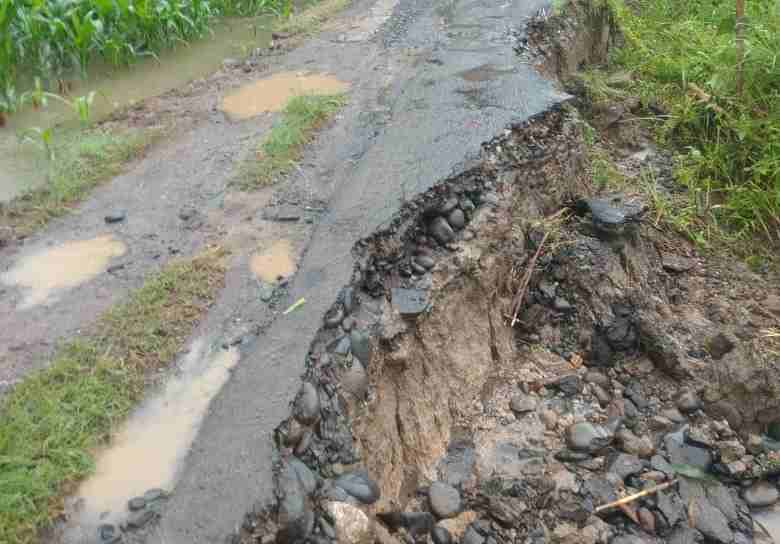 Badan Jalan Pekon Sinarbangun Tergerus Longsor Minta Pemkab Segera Perbiki Badan Jalan Pekon Sinarbangun Tergerus Longsor Minta Pemkab Segera Perbiki