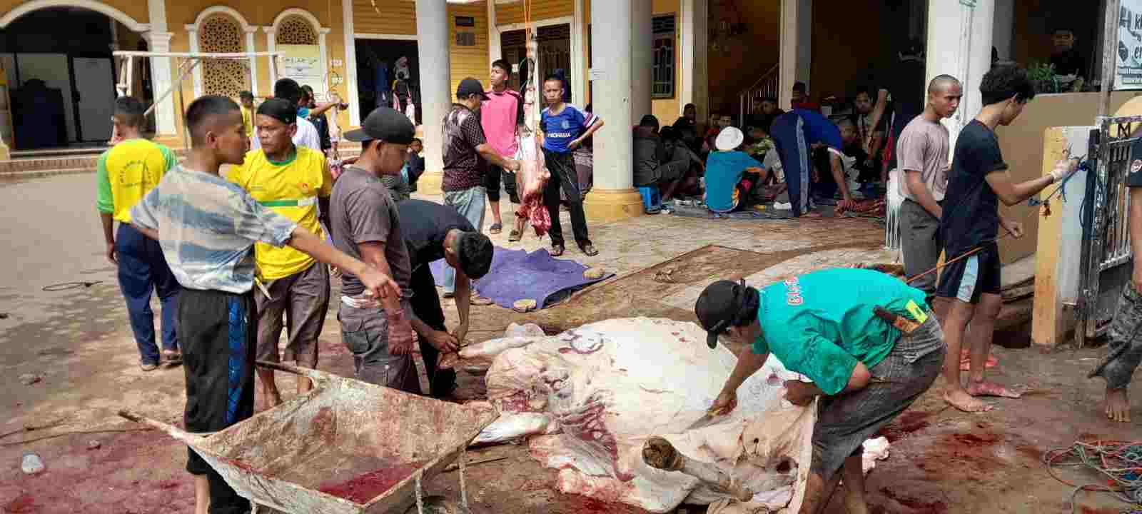 Ponpes Riyadus Sholihin Potong 15 Ekor Sapi Qurban Ponpes Riyadus Sholihin Potong 15 Ekor Sapi Qurban