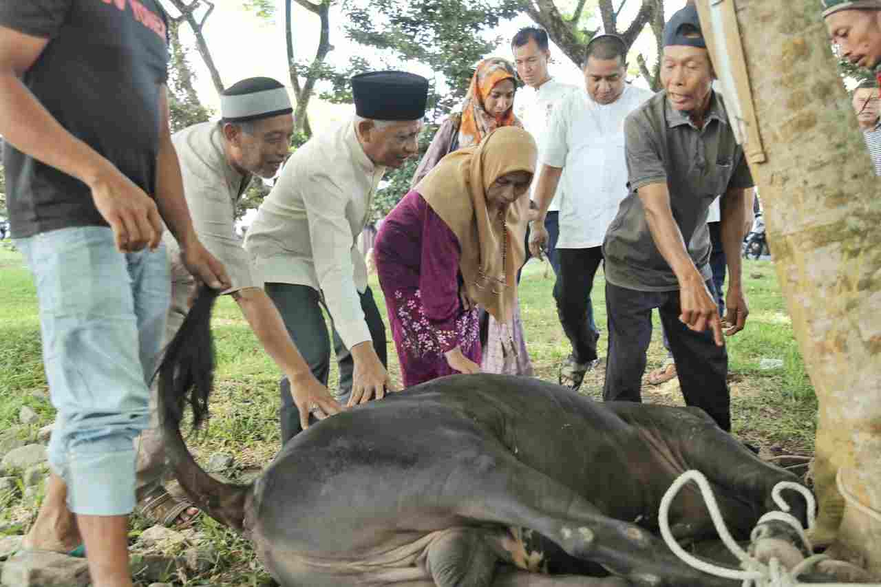Sambut Idul Adha 1444H, 3.811 Ekor Hewan Qurban di Sembelih di Kabupaten Asahan Sambut Idul Adha 1444H, 3.811 Ekor Hewan Qurban di Sembelih di Kabupaten Asahan