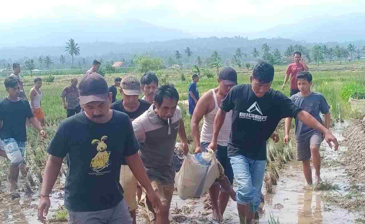 Polsek Wonosobo Identifikasi Temuan Mayat di Pesawahan Polsek Wonosobo Identifikasi Temuan Mayat di Pesawahan
