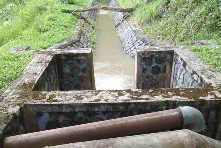 Semoga Pemda Bisa Mengakomodir dan Lahan Kami Kembali Produktif Semoga Pemda Bisa Mengakomodir dan Lahan Kami Kembali Produktif