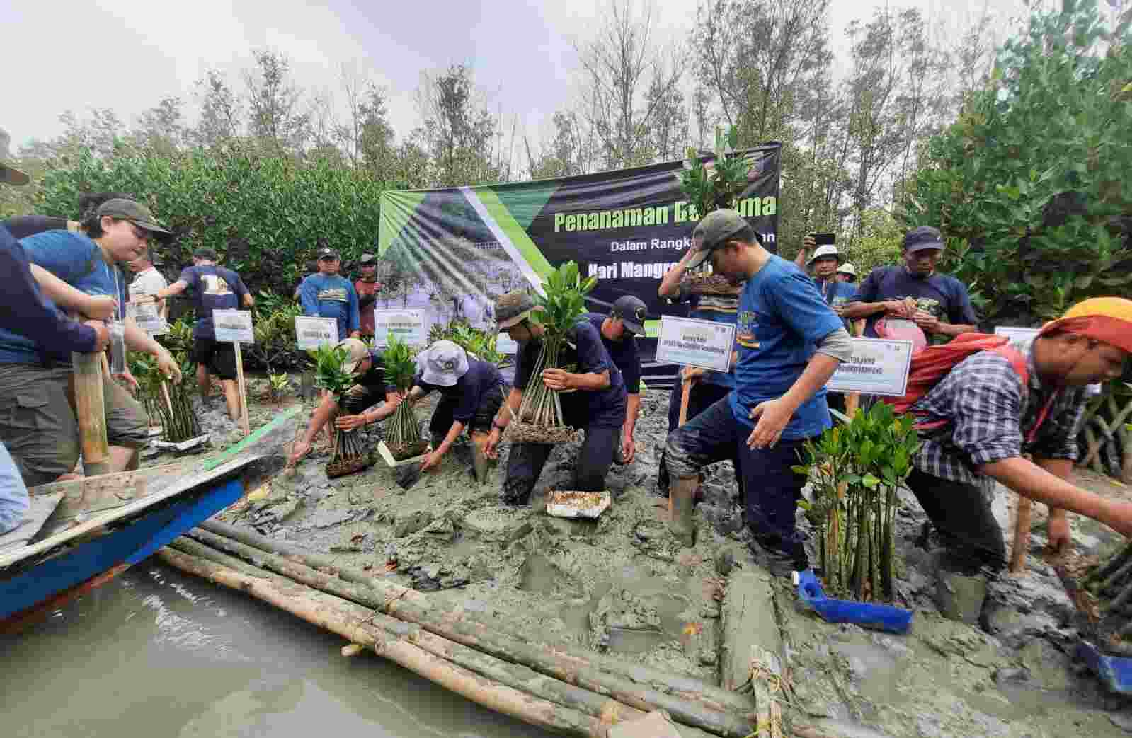 Hari Mangrove Sedunia 2023: Ekowisata Peluang Baru untuk Konservasi Hari Mangrove Sedunia 2023: Ekowisata Peluang Baru untuk Konservasi