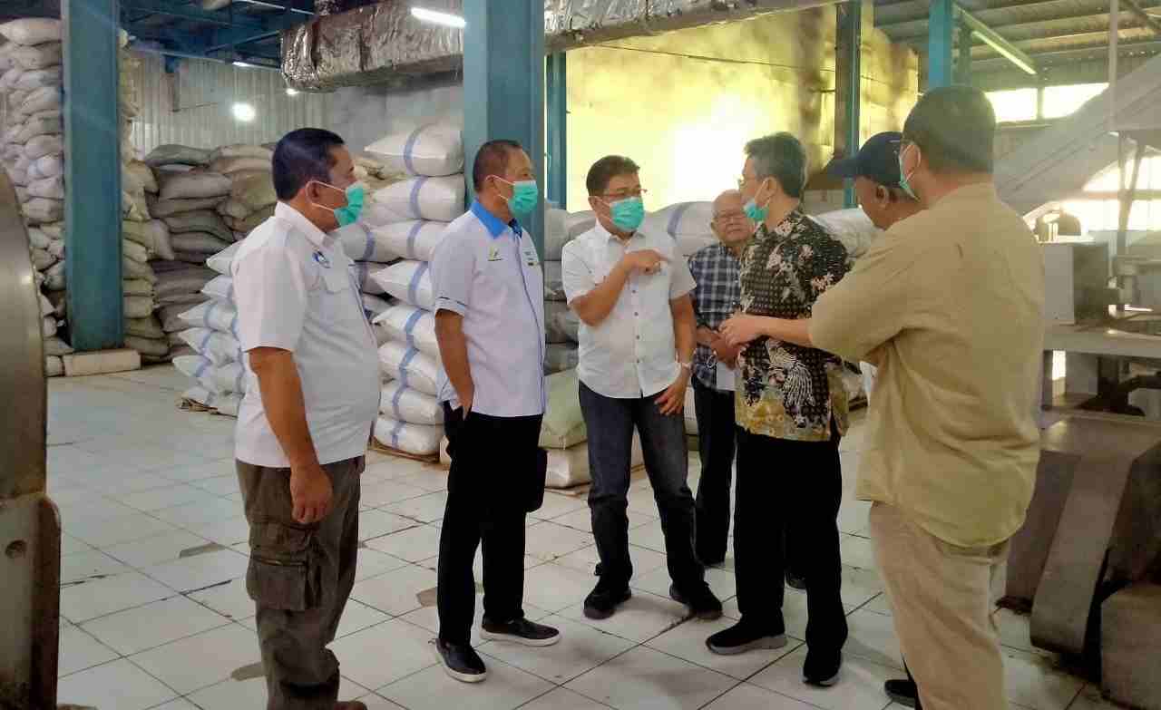 PTPN VII Pagaralam Segera Fokus ke Green Tea PTPN VII Pagaralam Segera Fokus ke Green Tea