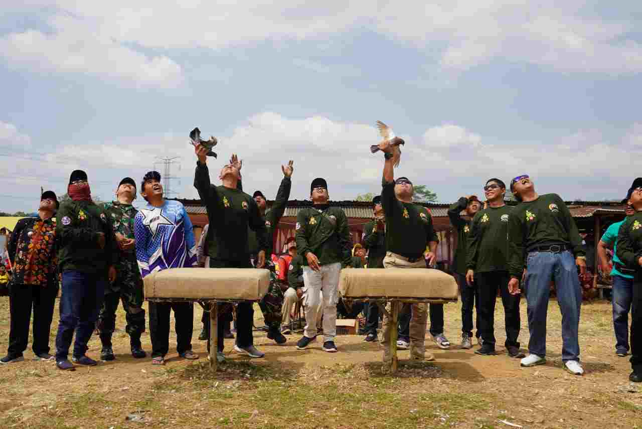 Salurkan Penggemar Merpati, Danrem Wijayakusuma Buka Lomba Merpati Terbang Tinggi Salurkan Penggemar Merpati, Danrem Wijayakusuma Buka Lomba Merpati Terbang Tinggi