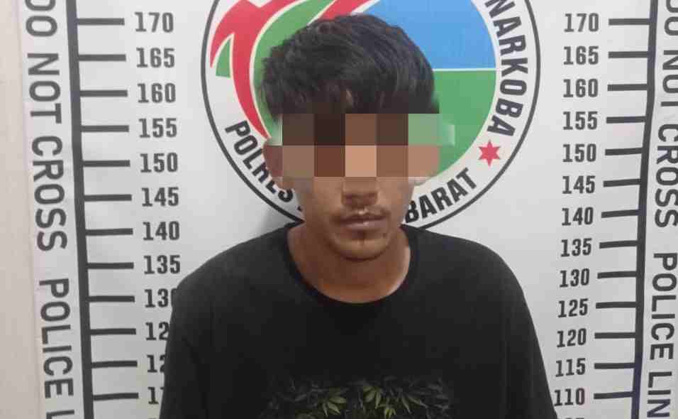 Polres Pesisir Barat Berhasil Ungkap Kasus Narkoba Jenis Sabu Polres Pesisir Barat Berhasil Ungkap Kasus Narkoba Jenis Sabu