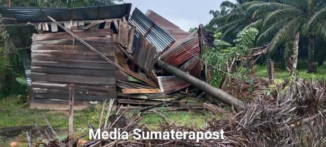 Akibat Angin Kecang, Tiang Listrik Tumbang Menimpah Rumah Warga Kejuruan Muda Akibat Angin Kecang, Tiang Listrik Tumbang Menimpah Rumah Warga Kejuruan Muda