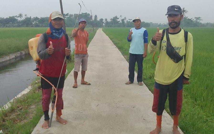 Warga Nilai Pembangunan JUT di Desa Pematang Cermai Sebagai Prestasi Pasangan Dambaan Warga Nilai Pembangunan JUT di Desa Pematang Cermai Sebagai Prestasi Pasangan Dambaan