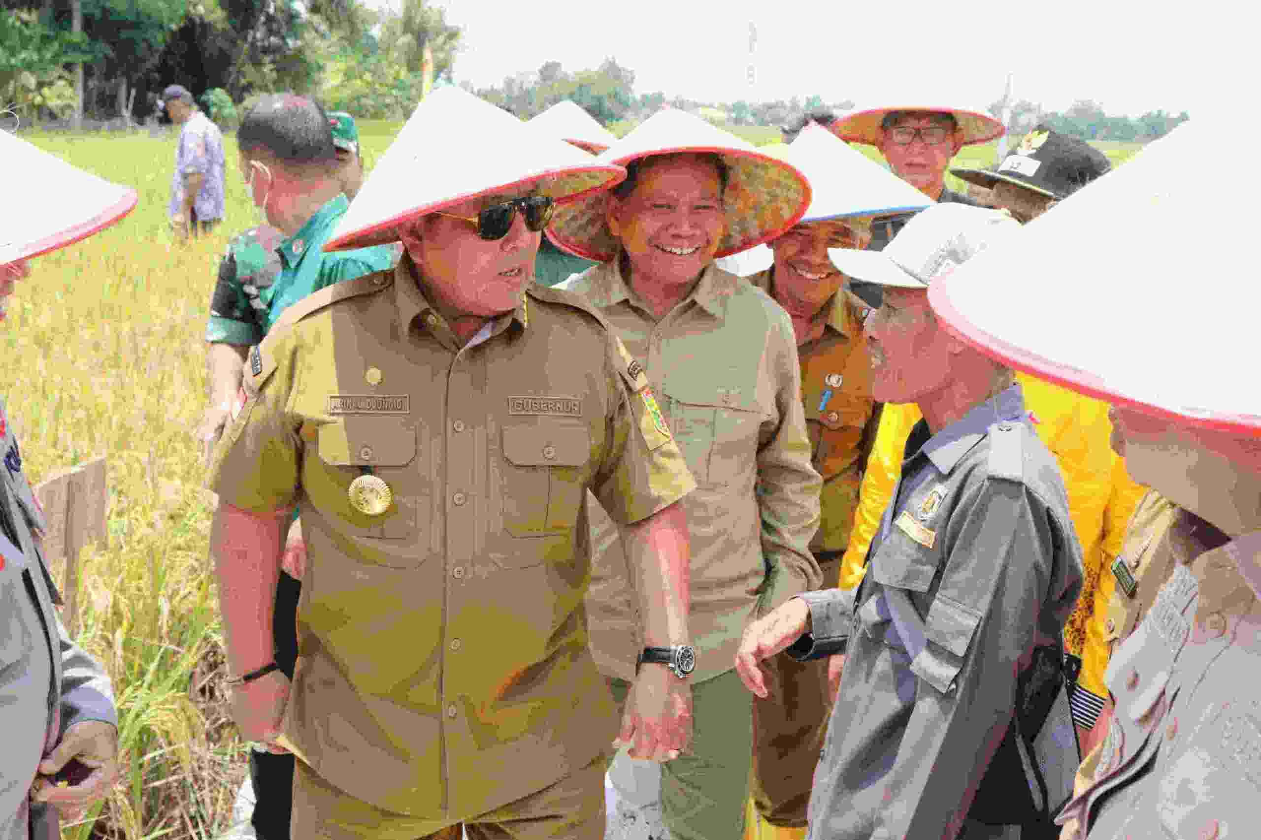 Gubernur Arinal Djunaidi Lakukan Panen Raya Padi di Kabupaten Lampung Tengah Gubernur Arinal Djunaidi Lakukan Panen Raya Padi di Kabupaten Lampung Tengah