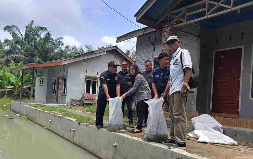 PWI Sergai Sebarkan 2500 Bibit Ikan Nila untuk Dukung Ketahanan Pangan PWI Sergai Sebarkan 2500 Bibit Ikan Nila untuk Dukung Ketahanan Pangan