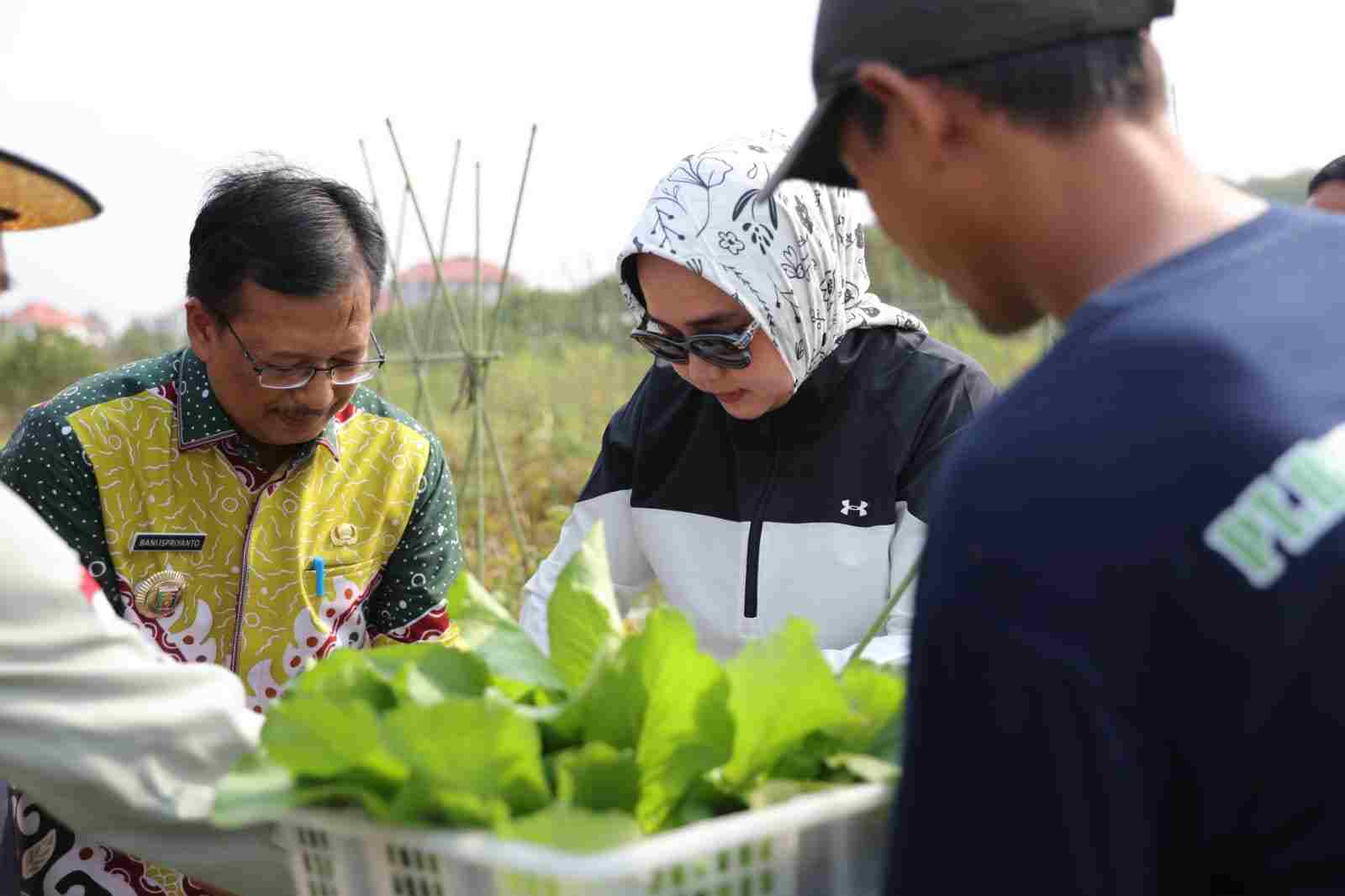 Ibu Riana Sari Panen Buah & Sayur, Bukti Kolaborasi yang Baik dalam Menjaga Ketahanan Pangan Ibu Riana Sari Panen Buah & Sayur, Bukti Kolaborasi yang Baik dalam Menjaga Ketahanan Pangan