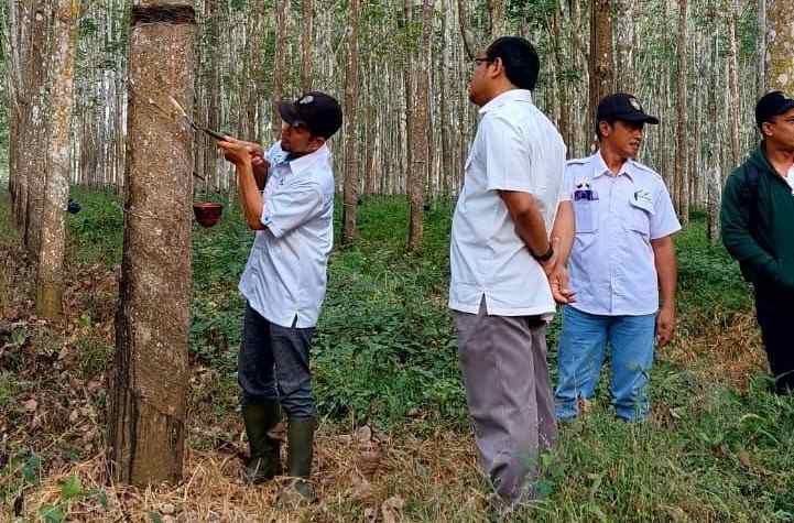 Dengan Etos Kerja, PTPN VII Way Lima Raih Prestasi Dengan Etos Kerja, PTPN VII Way Lima Raih Prestasi