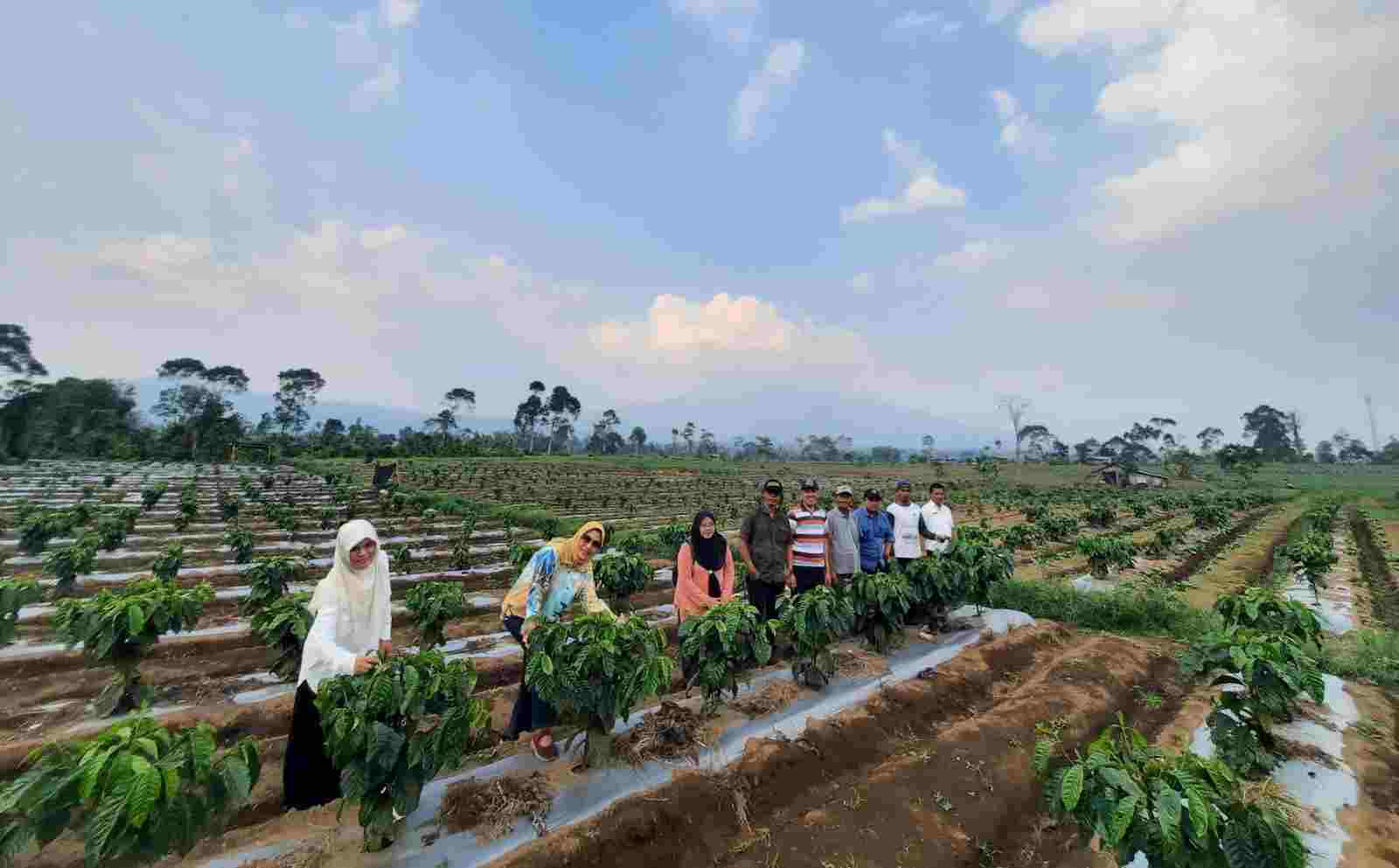 Pemprov Lampung Dukung Petani Kopi Terapkan Sistem Pagar Pemprov Lampung Dukung Petani Kopi Terapkan Sistem Pagar