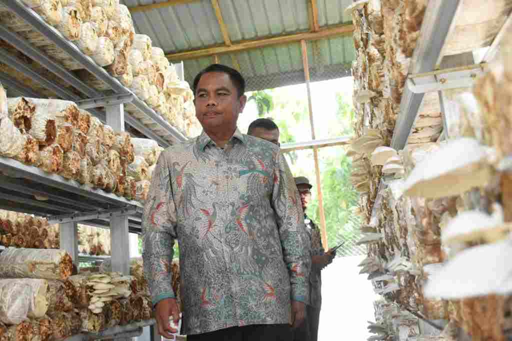 Pemkab Sergai Dukung UMKM dan Hortikultura Pemkab Sergai Dukung UMKM dan Hortikultura
