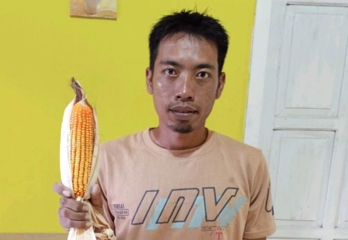 Sinergi PTPN IX dan Petani Perkuat Ketahanan Pangan Nasional Sinergi PTPN IX dan Petani Perkuat Ketahanan Pangan Nasional