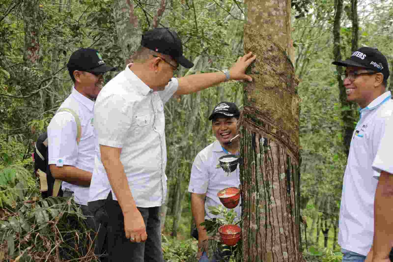 Komut PTPN VII: “Kita Berdamai dengan Pestalo!” Komut PTPN VII: “Kita Berdamai dengan Pestalo!”