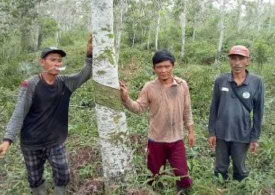 Masyarakat Korban Mafia Desa Pangkalan Benteng Mempertanyakan Berkas Pengaduan ke Polda Sumsel Masyarakat Korban Mafia Desa Pangkalan Benteng Mempertanyakan Berkas Pengaduan ke Polda Sumsel