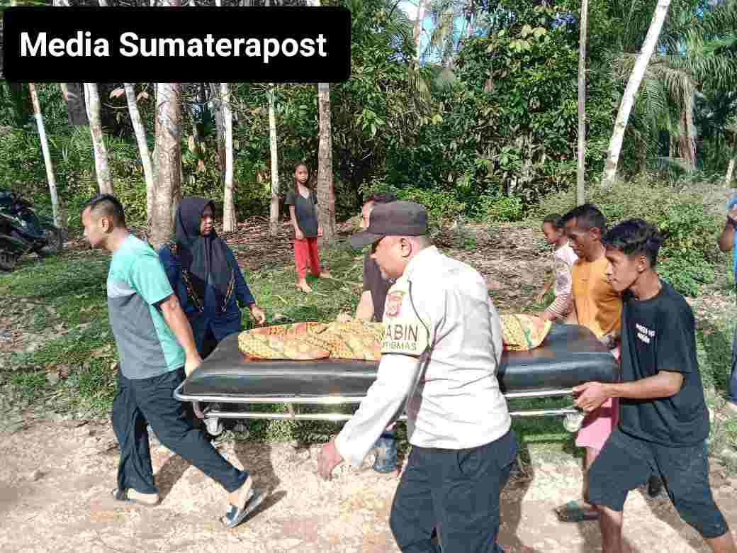 Dua Orang Tenggelam di Alur Wilayah Perkebunan PTPN I Kebun Pulau Tiga Dua Orang Tenggelam di Alur Wilayah Perkebunan PTPN I Kebun Pulau Tiga