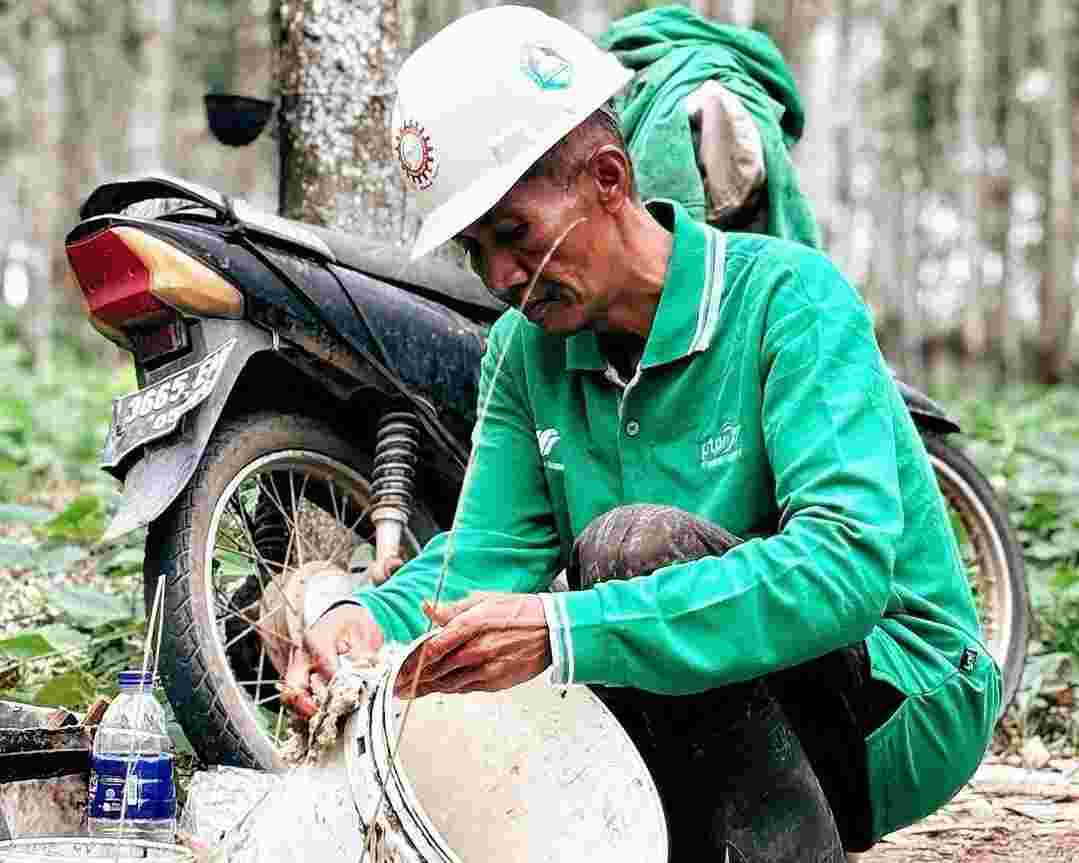 FKPPIB Gelar Lomba Fotografi “Pesona Perkebunan Nusantara” FKPPIB Gelar Lomba Fotografi “Pesona Perkebunan Nusantara”