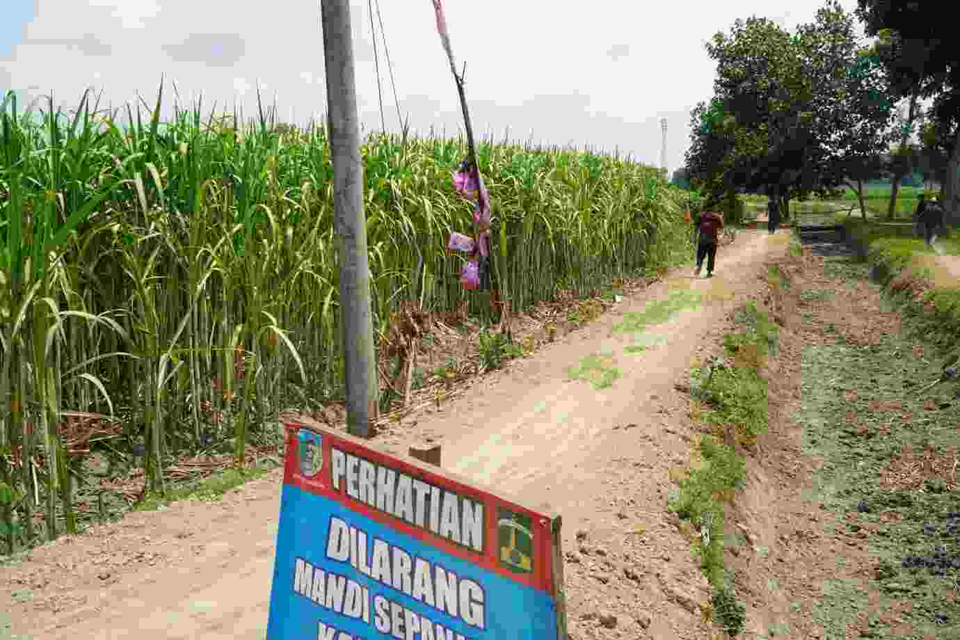 SGN Normalisasi Kanal, Cegah Banjir dan Akses Petani Kediri SGN Normalisasi Kanal, Cegah Banjir dan Akses Petani Kediri