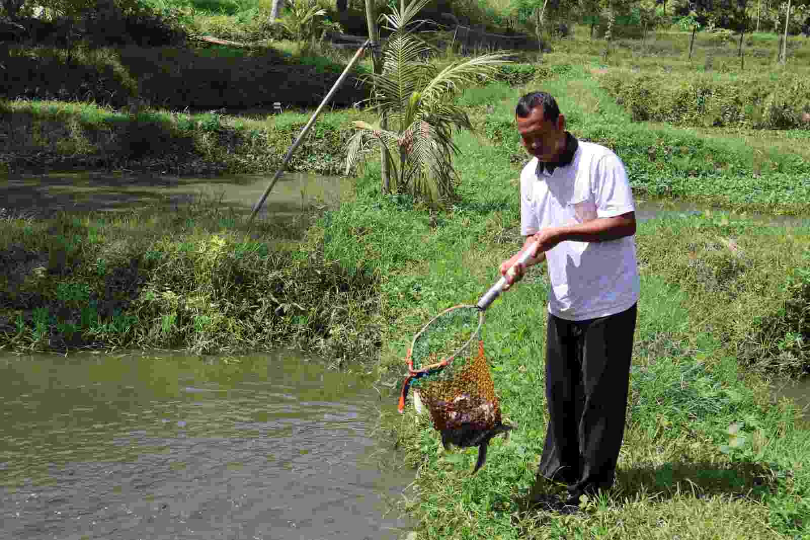 PTPN I Regional 7 Dukung Kemajuan Usaha Mikro dan Usaha Kecil PTPN I Regional 7 Dukung Kemajuan Usaha Mikro dan Usaha Kecil