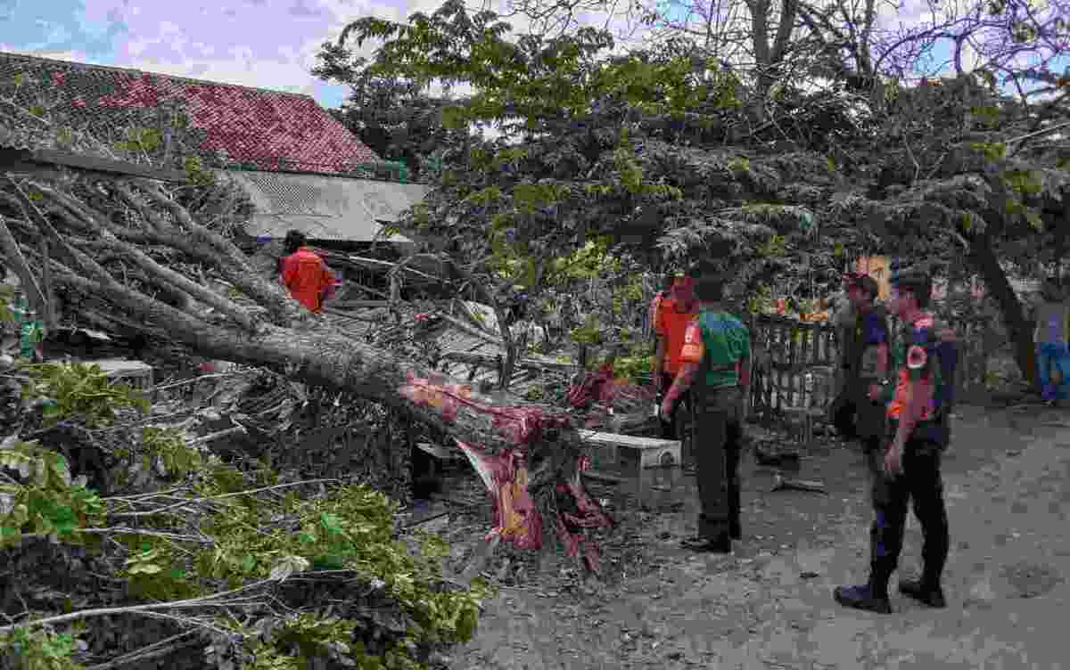 Timpah Bangunan Warga, Babinsa Koramil Panjang Bantu BPBD Evakuasi Pohon Tumbang Timpah Bangunan Warga, Babinsa Koramil Panjang Bantu BPBD Evakuasi Pohon Tumbang