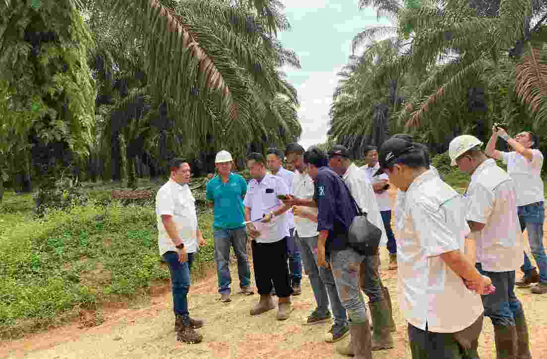 Region Head PTPN I Regional 7 Menyapa Kebun Sumatera Selatan Region Head PTPN I Regional 7 Menyapa Kebun Sumatera Selatan