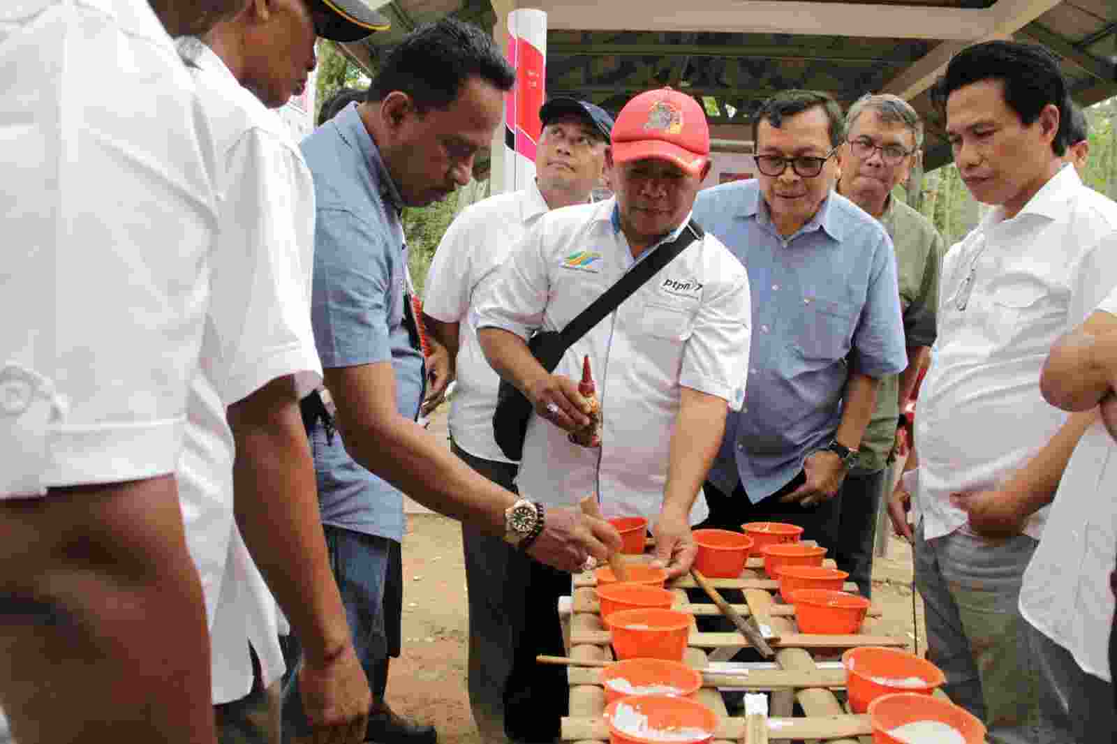 Tahun 2024, Karet PTPN I Prospektif Bangkit Tahun 2024, Karet PTPN I Prospektif Bangkit