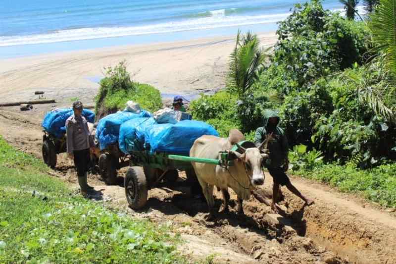 Bantu Pendistribusian Logistik Pemilu Gunakan Gerobak Sapi Susuri Laut Hingga Terjebak di Jalan Lumpur Bantu Pendistribusian Logistik Pemilu Gunakan Gerobak Sapi Susuri Laut Hingga Terjebak di Jalan Lumpur