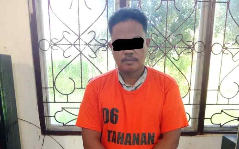 Jaringan Narkoba Dolok Batu Nanggar Dibongkar Sat Narkoba Polres Simalungun Jaringan Narkoba Dolok Batu Nanggar Dibongkar Sat Narkoba Polres Simalungun